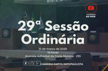 29ª Sessão ordinária