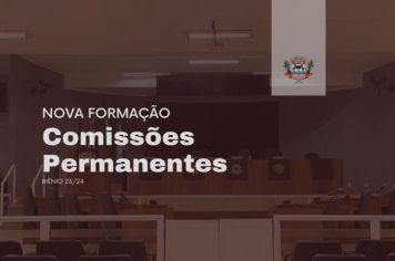 Novas Comissões Permanentes