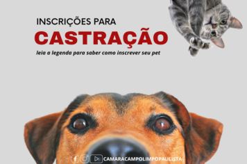 Castração